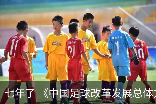 七年了 《中国足球改革发展总体方案》坚定落实了吗